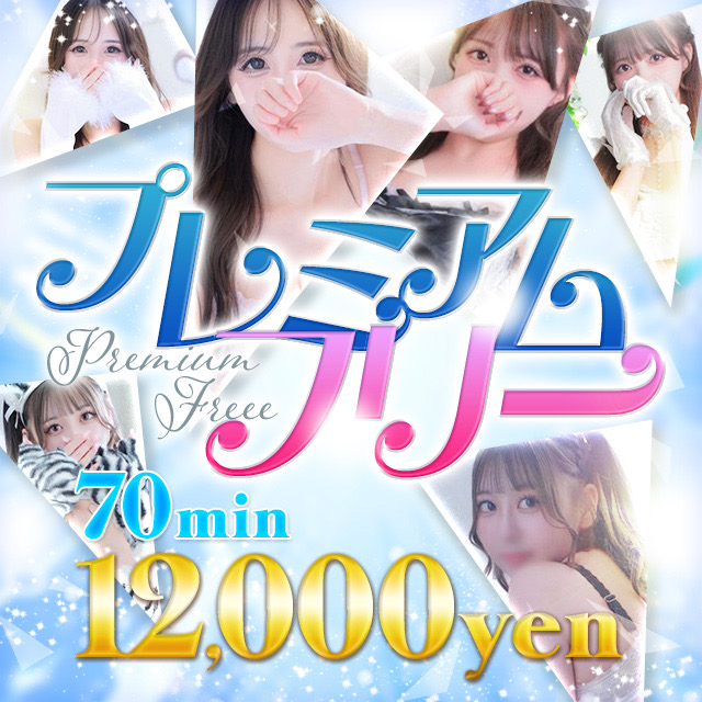 プレミアムフリー！！ 70分 12,000円